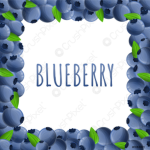 Blueberrygroup!!