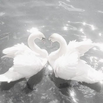 ୨୧˚