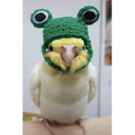 RamenBear