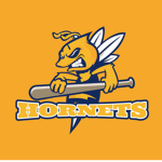 Hornets_