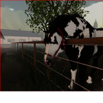 ~ *. S.A. Riding Academy .* ~