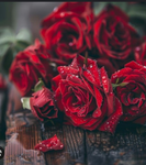 Pretty blood fandom :)