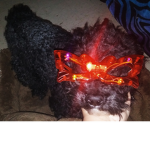 Freddy The Dog Fashion