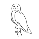 Night Owl Clothing