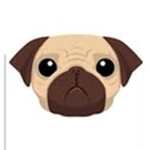 The Official Team Pug