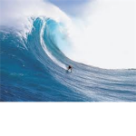 The First Name Surfers