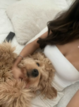 Little White Clothing