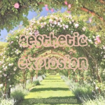 Aesthetic Explosion