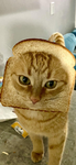Chillycakes