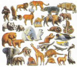 Animals. United.