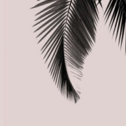 aesthetic Roblox decal
