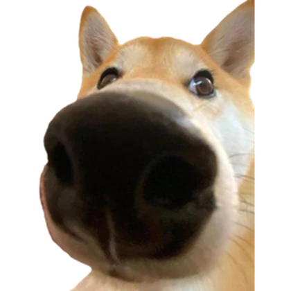 The Mighty Oof Fan Club Roblox group icon