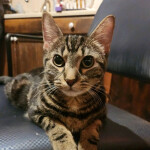 99 nights in the aj573732