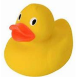 Duck_are_the_BEST