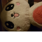 Cute pandas always love pandas