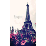 BOUJOUR BONSOIR