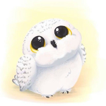 Snowy owl squad