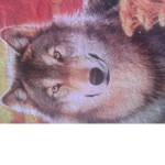 Everything Is About Wolves