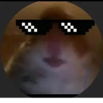Secret hamster group