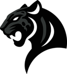 ShadowJaguar