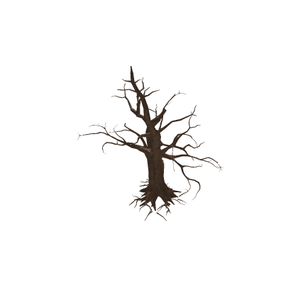 Sleepy Hollow Tree