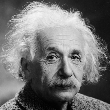 Albert Einstein Simulator