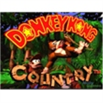 Donkey Kong Roleplay