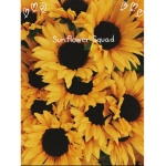 *~•Sunflower Squad•~*