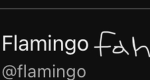 I’m a fan of flamingo yay
