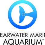 Clearwater Marine Aquarium of Bloxburg
