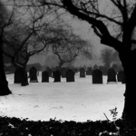risen spirits