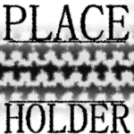 PLACE+HOLDER