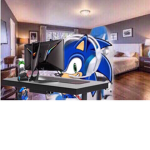 Sonic Speed Gaming