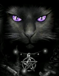 Kitty Goths