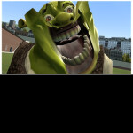 I LIKE ONIONS