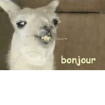 Llamas are awesome inc.
