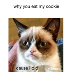 Good robux for you