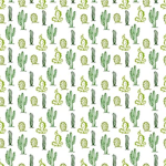 cactii clothing