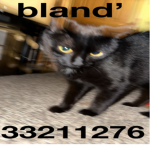 bland’