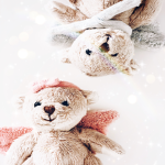 Teddy tea