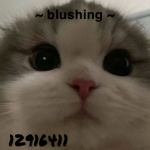 ~ blushing ~