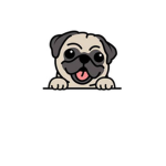 Puggy’s house :)