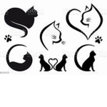 attackyourkittymouse