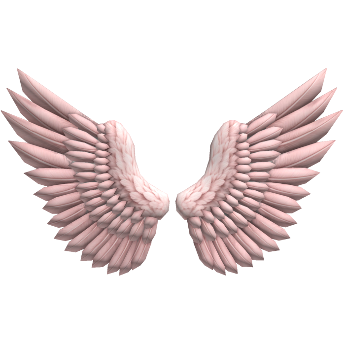 huge light pink angel wings