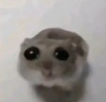 ρяєρρу gαℓ ραℓѕ