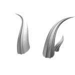 White Horns