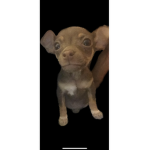 The nugget of all