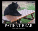 Patient Bear Studios