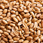- Groundnut Nation -