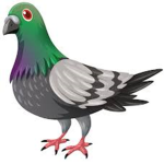 The Pigeon Gang